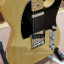 Fernandes telecaster the revival