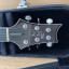 PRS SE Hollowbody Standard