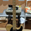 Fernandes telecaster the revival