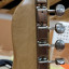 Fernandes telecaster the revival