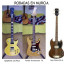 Gibson Fender Epiphone