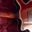 Burns London Brian May Red special signature 2004 RESERVADA