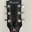 Guitarra Acustica Concerter.