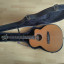 Guitarra acústica Alhambra J3 CW E5