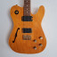 Squier Thinline Telecaster Master Series HH