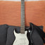 Guitarra Electrica Greg Benett Signature Stratocaster
