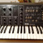 Sintetizador analógico Korg MS-10