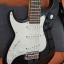 Guitarra Electrica Greg Benett Signature Stratocaster