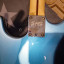 Squier Stratocaster clasic Vibe classic vibe 50'S 2009 Lake placid blue