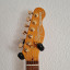 Squier Thinline Telecaster Master Series HH