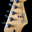 Fender Stratocaster MIM 2001