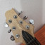 Guitarra Electrica Greg Benett Signature Stratocaster
