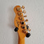 Squier Thinline Telecaster Master Series HH