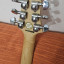 Guitarra Electrica Greg Benett Signature Stratocaster