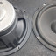 Altavoces 8" de guitarra para pequeñas pantallas