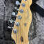 Fender TELECASTER AMERICAN PROFESSIONAL '73 DELUXE SHAWBUCKER Natural