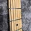 Fender TELECASTER AMERICAN PROFESSIONAL '73 DELUXE SHAWBUCKER Natural