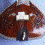 Sitar custom (Nitai Chandra)