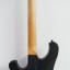 Guitarra Schecter decorada