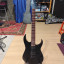 Ibanez RGRT421 WK
