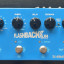 TC Electronics Flashback 2x4