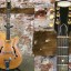 Epiphone Harry Volpe