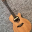 TAKAMINE Limited edition 1998