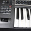 PCR-800, teclado MIDI, EDIROL by ROLAND de 61 teclas
