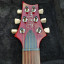 Prs custom 24