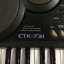 Teclado Casio CTK-731
