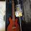Gibson Les Paul Special DC-100 de 2015
