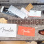Fender Stratocaster American professional Sienna sunburst CAMBIOS