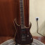 Ibanez RG721RW