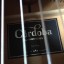 Cordoba GK Pro (+ juegos de cuerdas) VIDEO