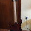 Ibanez RG721RW