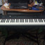 Piano electrico de escenario Thomann SP-320