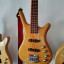 Premium Warwick Rockbass Corvette. Bajo eléctrico activo