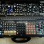Make Noise Shared System Black & Gold Plus