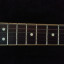 Fender stratocaster American standard chanel bound 60 aniversario