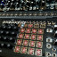 Make Noise Shared System Black & Gold Plus