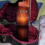 Vendo/Cambio taylor 224 Koa DLX
