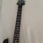 PRS SE EG 2004 con mejoras sustanciales