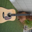 Acustica MARTIN DX1RGT made in USA