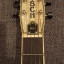 Guitarra resonadora / Dobro Gretsch G9221