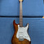 Suhr Standard Plus - Pau Ferro - Bengal Burst