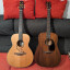 Acustica Takamine ltd 2005