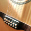 Seagull Walnut 12 EQ