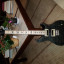 PRS SE Custom 24 LTD Maple Ed. GB por Bajo o Guitarra