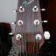 Electroacustica Fender FE-230CE