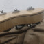 Telecaster Neck Thru